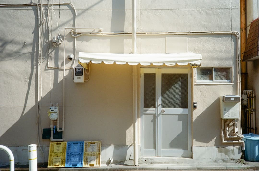 江西发现新物种婺源合跳蛛